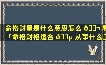 命格财星是什么意思怎么 🐬 看「命格财格适合 🐵 从事什么工作」